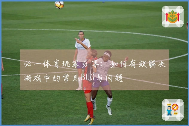 必一体育玩家分享：如何有效解决游戏中的常见BUG与问题