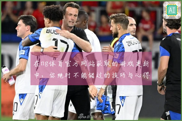 在ng体育官方网站获取的游戏更新中，你绝对不能错过的技巧与心得分享