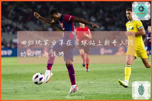 回归玩家分享在买球站上新手入门的心得与技巧