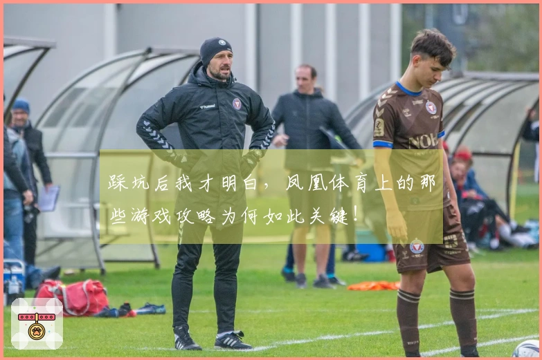 踩坑后我才明白，凤凰体育上的那些游戏攻略为何如此关键！