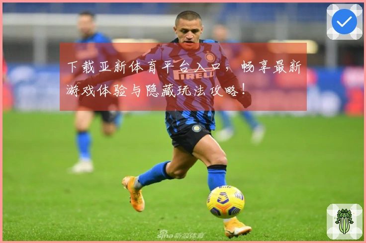 下载亚新体育平台入口，畅享最新游戏体验与隐藏玩法攻略！