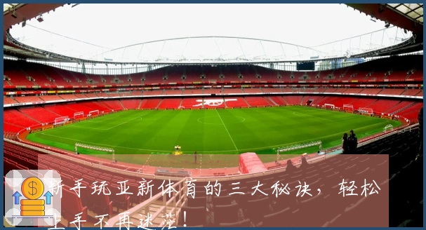 新手玩亚新体育的三大秘诀，轻松上手不再迷茫！